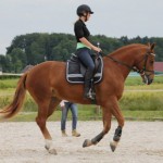 cassiope_6