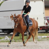 galerie_cheval_2