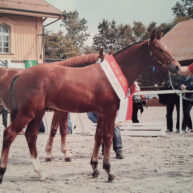 galerie-concours
